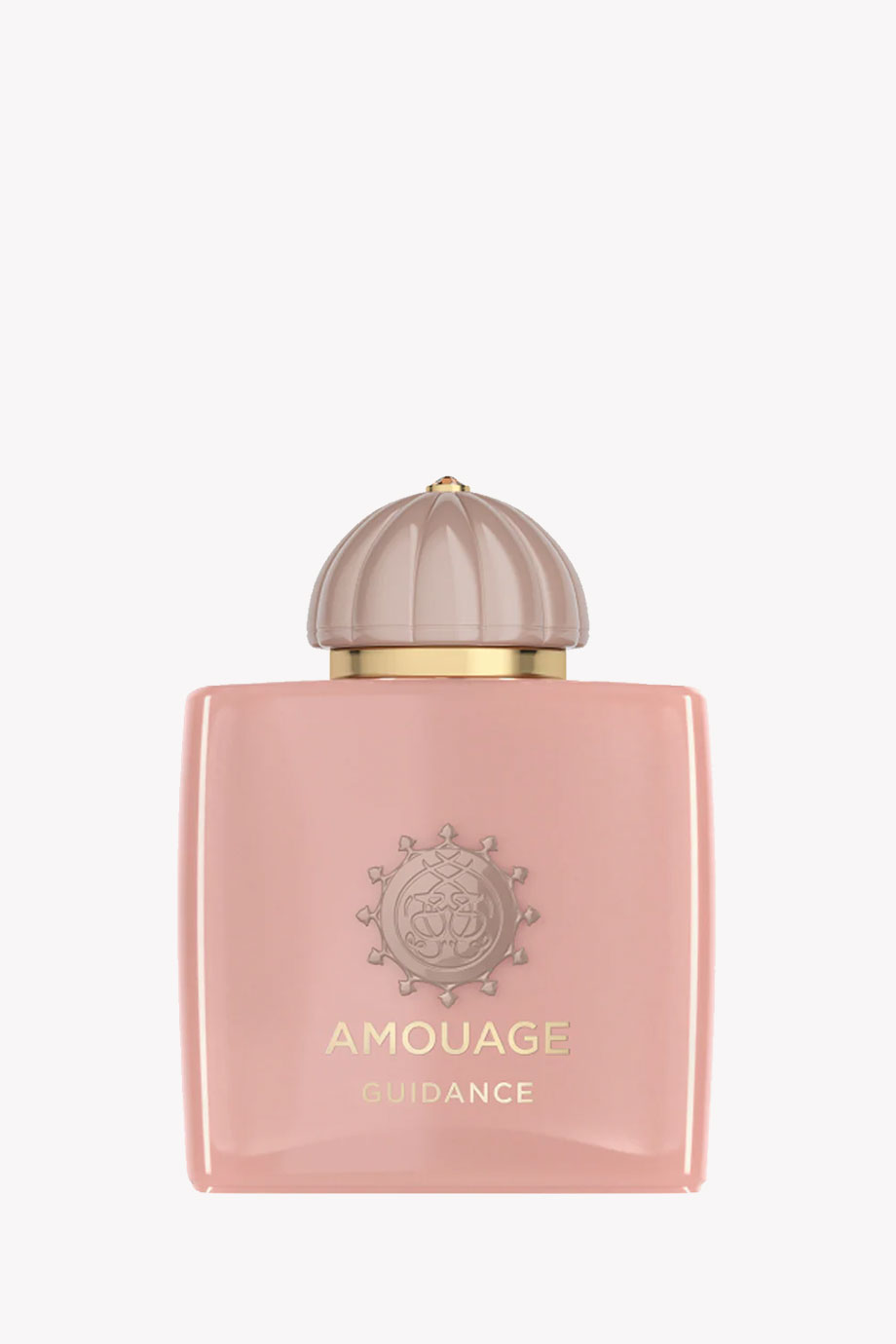 Picture of AMOUAGE GUIDANCE UNISEX EAU DE PARFUM 100ML